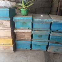 فروش کندو وطبق