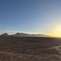 املاک شهرک سیمرغ خرید فروش رهن اجاره