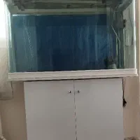 آکواریوم دلسا مفت