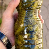 خیارشور ممتاز درجه یک