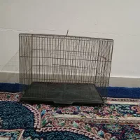 قفس پرنده