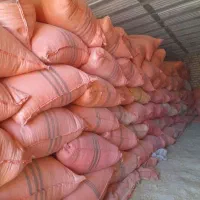 کاه گندم دیم سبک خالص