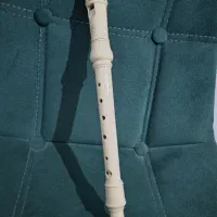 فلوت