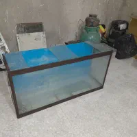 آکواریوم