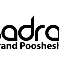 خانم تسلط کامل به کامپیوتر