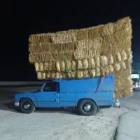 پرس گندم وپرس شالی وذرت علوفه ای  کاه نرمه