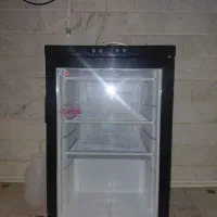 فریزر این فو