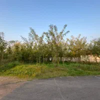 فروش-زمین-سند-دارتک-برگ