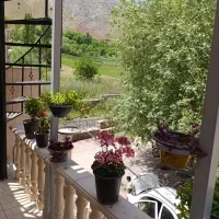 سوئیت-اجاره-ای-در-روستای-ارتکند