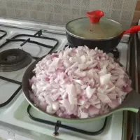 گاز سینجر ۵ شعله