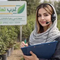 فروش نهال گردو بادام صنوبر انگور پسته هلوشلیل زرشک