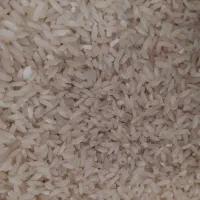 برنج چنار شوه