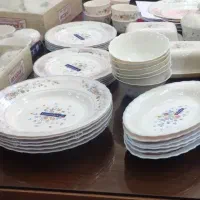 ظروف آرکوپال ویکتوریا لومینارک و مردکماندار