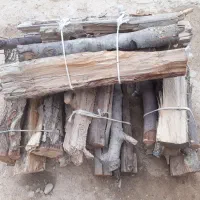 چوب هیزمی بسته ای وآفتابگردان بذری