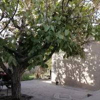 اجاره کوتاه مدت