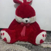 خرس پشمالونونو