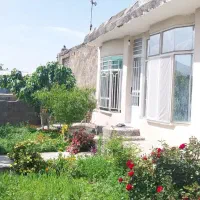 باغ ویلا.  دامداری.  سالن قارچ