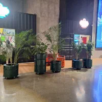 استخدام نیروی آشپز (سالاد و ساندویچ زن )