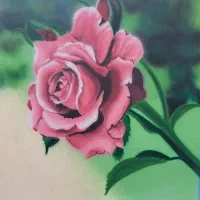 نقاشی دیواری دیوارنویسی