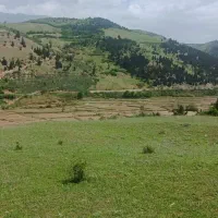 فروش زمین باغی ۸۰۰۰متری