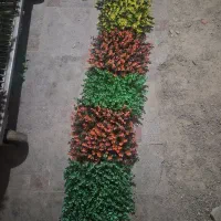 گل مصنوعی گریت وال