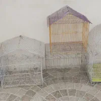 قفس پرنده