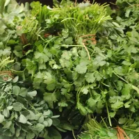 سبزی|خوردنی و آشامیدنی|زنجان, |دیوار