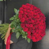 رز هلندی شاخه ایی ۳۰ هزار تومان