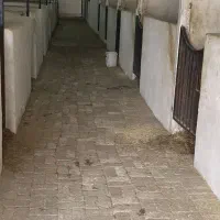 پانسیون و خرید و فروش در بهترین شرایط