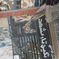 فرش