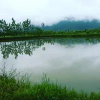 فروش-پرورش-ماهی