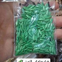 خیار و لوبیا