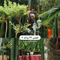 استخدام نیرو در کافه رستوران
