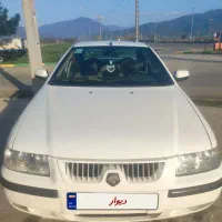 سمندلاکاغذی بی رنگ