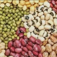 حبوبات /فروش/شرایطی