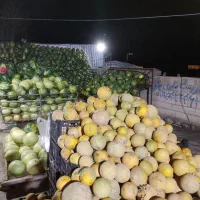 کارگر ساده میوه فروش