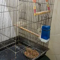 فروش قفس پرنده
