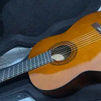 گیتار|گیتار، بیس، امپلیفایر|برخوار, |دیوار