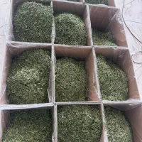 استخدام نیروی تولیدکننده محتوای تبلیغاتی