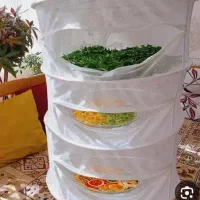 سبزی خشک کن