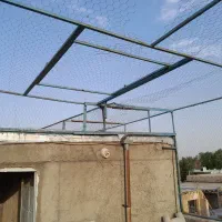 پرون کفتر