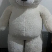 خرس سفید تپل