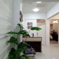 جشنواره تابستانه  مطب زیبایی و مامایی دی ،لاهیجان