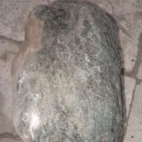 راف