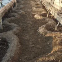 باغبونی|خدمات باغبانی و درختکاری|مشهد, کلاته برفی|دیوار