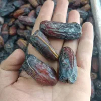 خرما نگار از نژاد پیارم بار امسالی درشت سالم