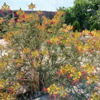 ویلایی مسکونی