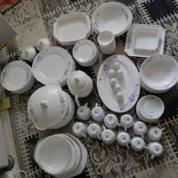 ظروف ۱۱۴تکه گل ابی