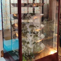 فر مخصوص و حرفه ای پیتزا