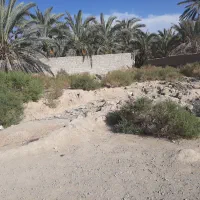 زمین